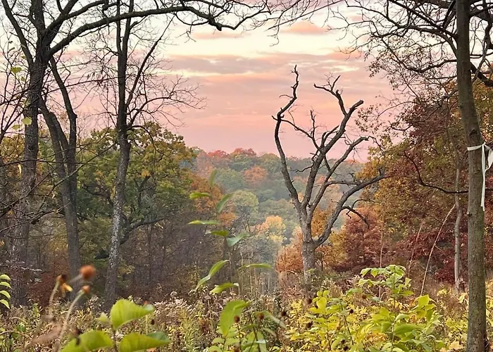 The Drey: A Private Retreat In The Treetop Canopy Guilford